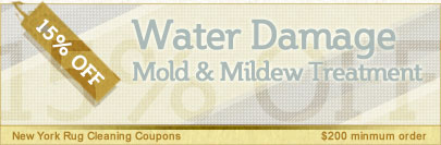 Cleaning Coupons | 15% off mold & mildew removal | New York Rug Cleaning